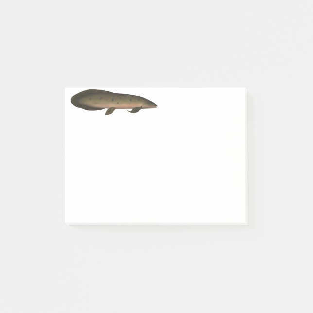 Post-it® Dauphin australien (Devant)