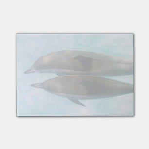 Post-it® Dauphins d'araignée  Oahu Hawaii