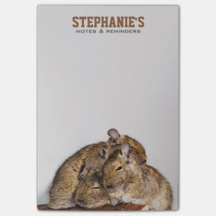 Post-it® Degu heureux dans une pile de Degu