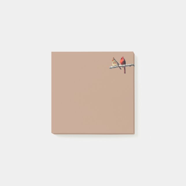 Post-it® Des merveilles silencieuses publient des billets s (Devant)