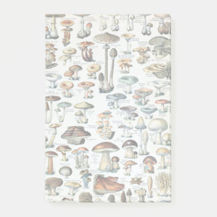 Post-it® Diagramme comestible vintage de champignon