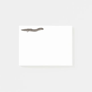 Post-it® Dipneuste sud-américain