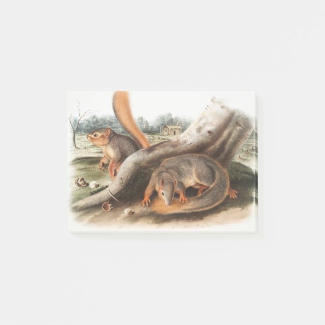 Post-it® Dites Squirrel Girl Boy Pet Giftssquirrel feeder (Devant)