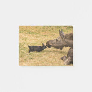 Post-it® Diversité