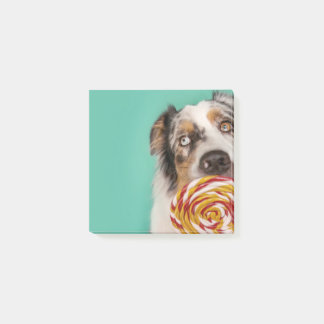 Post-it® Drôle de chien australian Shepherd avec Lolli