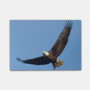 Post-it® Eagle grand