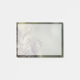 Post-it® Écureuil gris oriental ou écureuil gris
