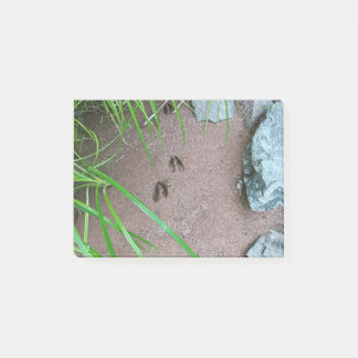 Post-it® Empreinte d'empreinte de cerfs faune et flore Post