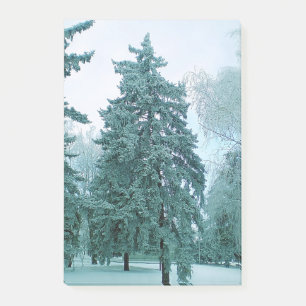 Post-it® Épinette avec glace