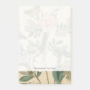 Post-it® Étapes de la vie de papillon par le studio de