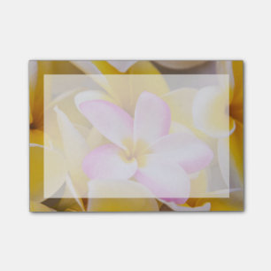 Post-it® États-Unis, Hawaï, Oahu, fleurs de la plumeria en 