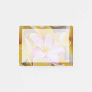 Post-it® États-Unis, Hawaï, Oahu, Fleurs de plumeria en fle