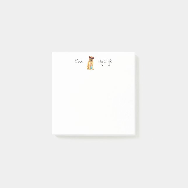 Post-it® Été Bruxelles Griffon (Devant)