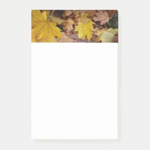 Post-it® Fallen Maple Feuille Jaune Automne Nature