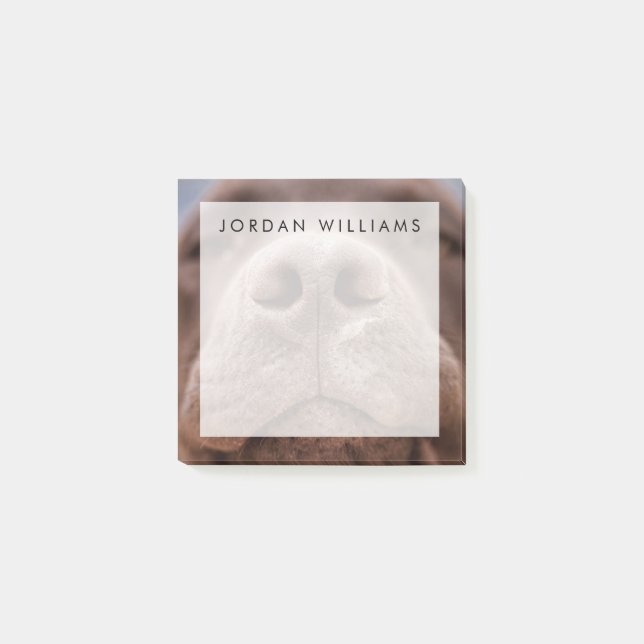 Post-it® Fermeture du nez du Labrador au chocolat (Devant)