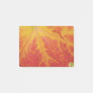 Post-it® Feuille d'érable rouge Abstraite Automne Photograp