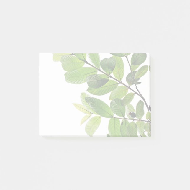 Post-it® Feuille vert sur un arrière - plan blanc (Devant)