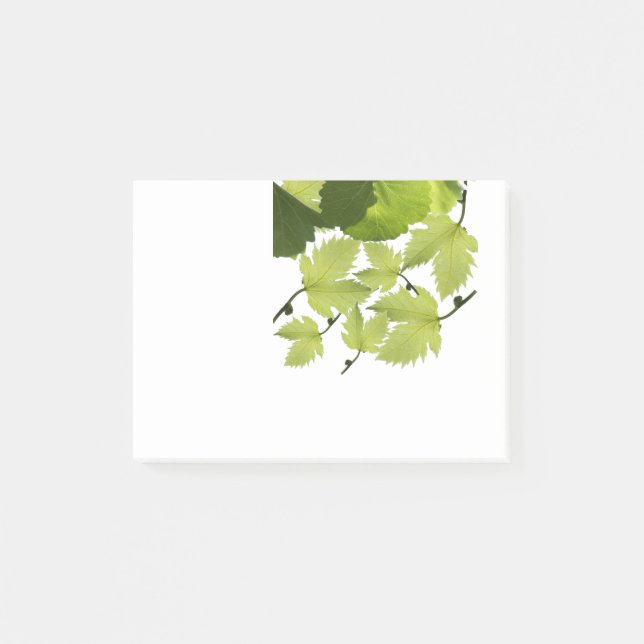 Post-it® Feuilles de vigne verte (Devant)