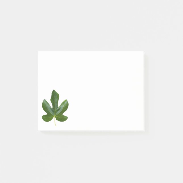 Post-it® Fig arbre Single Green leaf closeuse isolé (Devant)