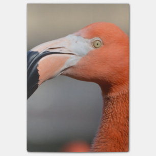 Post-it® Flamant rose des Caraïbes