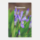 Fleur d'état du Tennessee