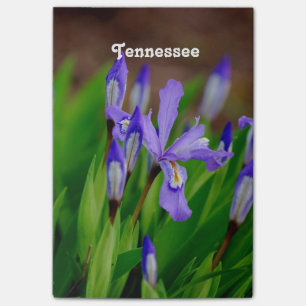 Post-it® Fleur d'état du Tennessee
