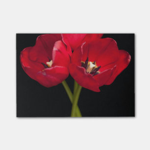 Post-it® Fleurs de tulipe rouge Fleur de fleurs de Arrière