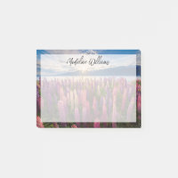 Fleurs | Lupines Nouvelle-Zélande