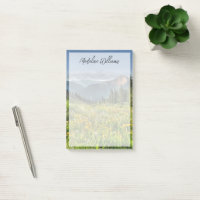 Flowers (homonymie) | Wildflowers Silverton Colora