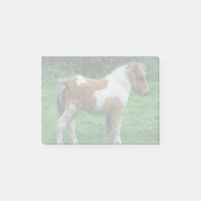 Post-it® Fluffy Adorable Dartmoor Pony (Devant)