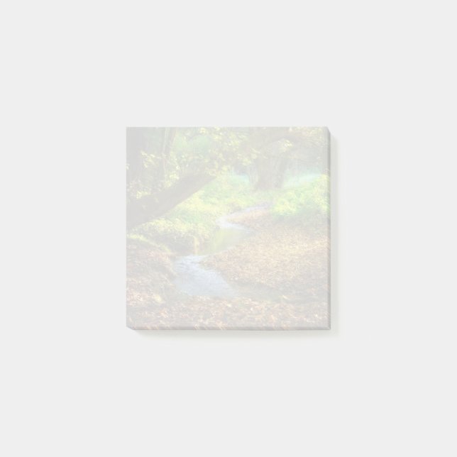 Post-it® Forest Creek Belle nature Paysage Photo (Devant)