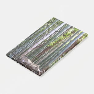 Post-it® Forêt géante japonaise de bambou, Sagano, Kyoto, J