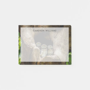 Post-it® Forêt   Trois Chouettes