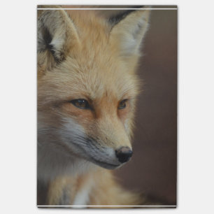 Post-it® Fox rouge mignon