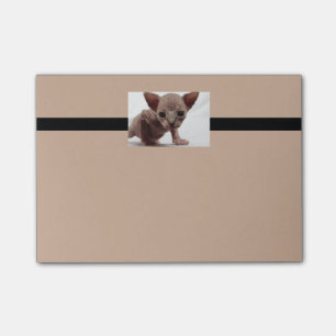 Post-it® Freaky Cute Furless