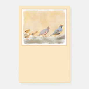 Post-it® Gambrel's Quail Painting Original Bird Art