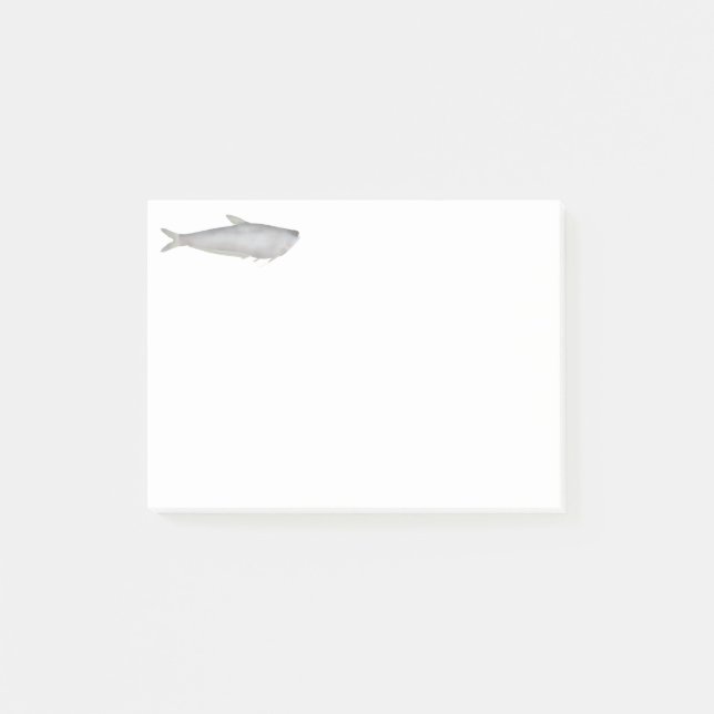 Post-it® Gangetic Hairfin Anchovy  (Devant)