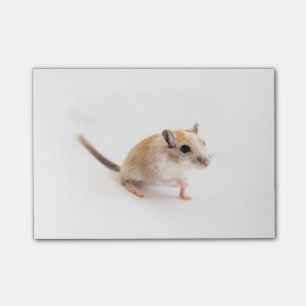 Post-it® Gerbil Cute Bébé Animal Animal Pet Gerbils Modè
