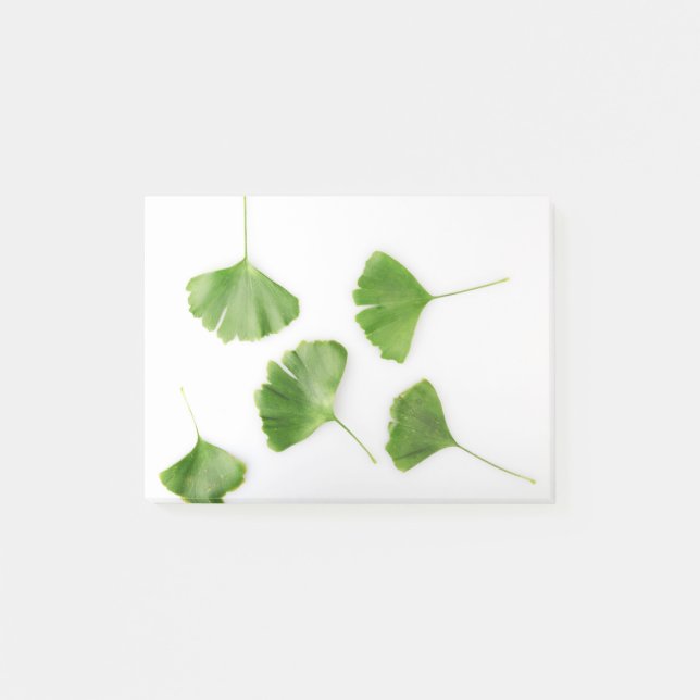 Post-it® Ginkgo Biloba Leaf contre le Arrière - plan blanc (Devant)