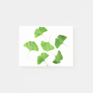 Post-it® Ginkgo biloba vert