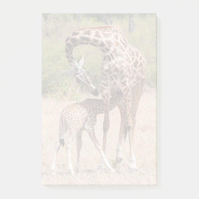 Post-it® Giraffe Mère et bébé au Kenya (Devant)