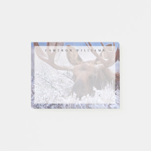 Post-it® Glace et neige Grand Teton National Park, Wyomin