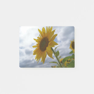 Post-it® Gloire de tournesol