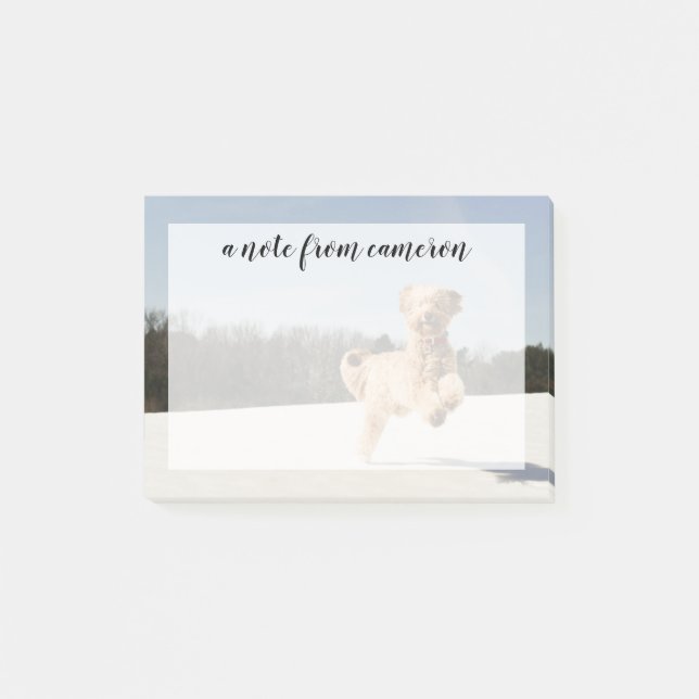 Post-it® Goldendoodle Traversant Le Champ (Devant)