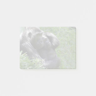 Post-it® Gorillas Kibibi et Moke au zoo national