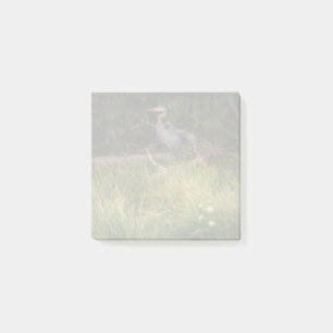 Post-it® Grand héron bleu 8917