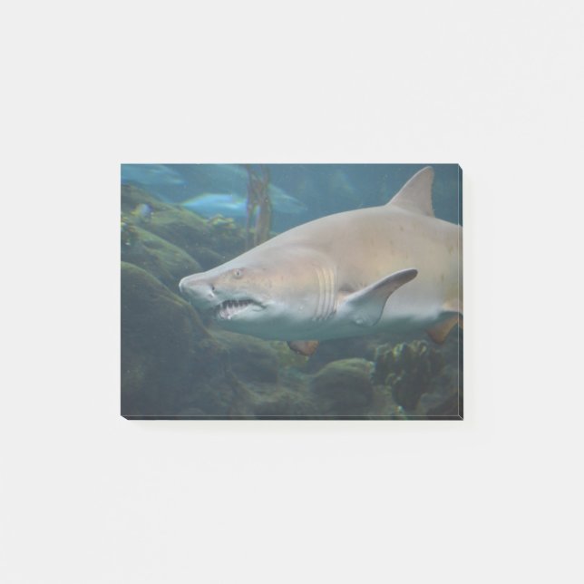 Post-it® Grand requin blanc effrayant (Devant)