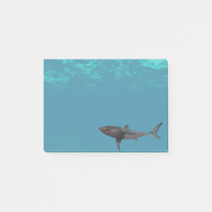 Post-it® Grande attaque de requin blanc Océan