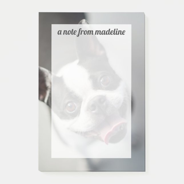 Post-it® Grandes images| Bulldog français (Devant)