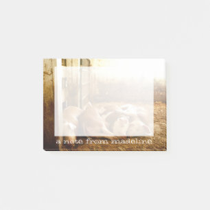 Post-it® Grandes images  Cochons en friche